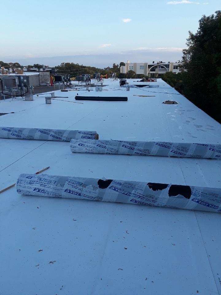 Roof Project 1